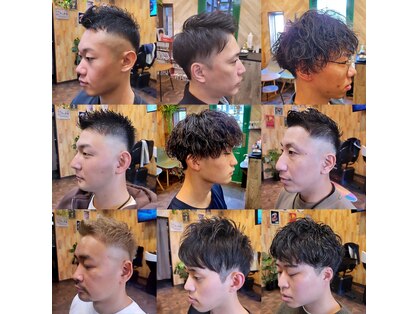 ノトア(notoa)の写真