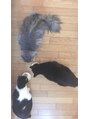 ヴァンカウンシル 札幌本店(VAN COUNCIL)&nbsp;猫と共に育ちました。実家には3匹います！最高の癒しです！！