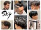 スカイ ビューレックス 丸の内店の写真