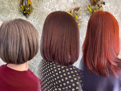 ビオラス(Vi-olus)の写真