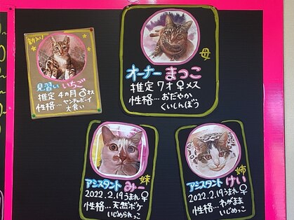 まつこ美容室の写真