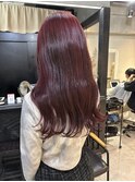 【noel】mayu×ボルドー