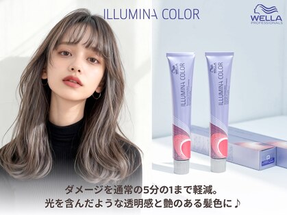 ソース 茨木(SOURCE)の写真