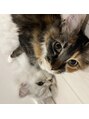 クロエ 目黒(Cloe) 猫を2匹飼ってます！