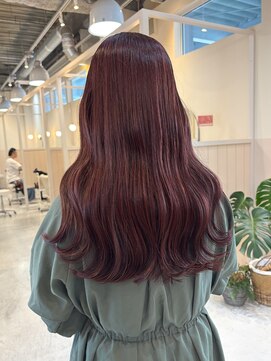 シダ(sida) ボルドーカラー