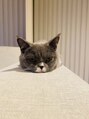 オリーブの家/オリーブの家