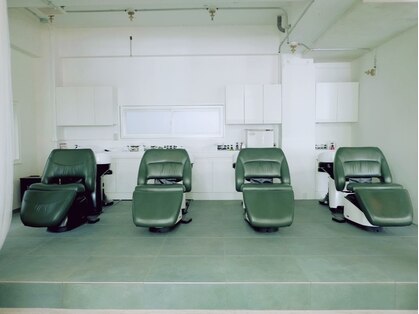 テルヴェ(Terve)の写真