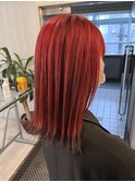 袖ブラックワインレッドカラー
