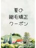 夏の縮毛矯正キャンペーン　(縮毛矯正のみの施術です)