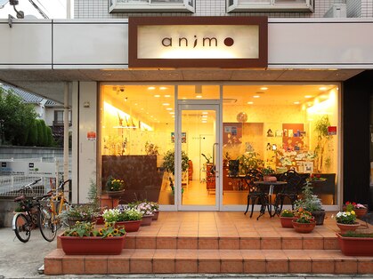 アニモ 吉川店(animo)の写真