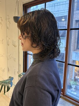 コフィー バイ メルト 吉祥寺(cofy by melt) 山本/ウルフパーマウルフカットレイヤーカット吉祥寺パーマ20代