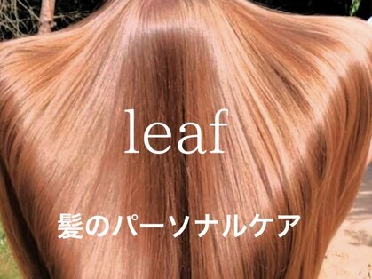 リーフ(leaf)の写真