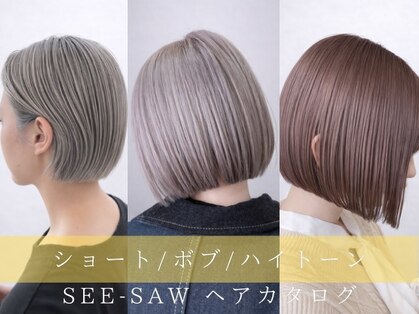 シーソー(SEE-SAW)の写真