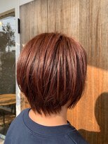 シャポン ツヤ感たっぷりN.ルフレカラー