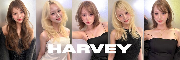 HARVEY 大宮店【ハーヴィー】【2月28日オープン(予定)】のサロンヘッダー