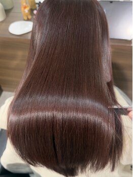 ハロバイシーン(Halo by seen.)の写真/《全国1%しか取り扱いのない、超特濃トリートメントのご体感を》