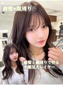 レイヤーカット白髪ぼかしハイライトダブルカラーインナーカラー
