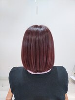 サジェス(Sagesse)&nbsp;赤色カラー