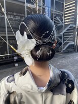 ジェミニ(gemini)&nbsp;タイトシニヨン