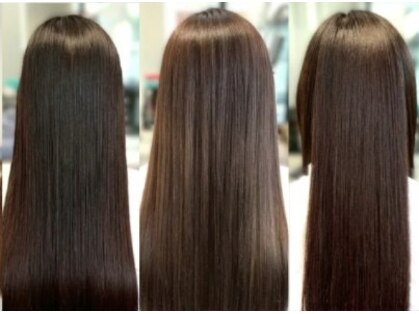 トランス(Trans)の写真