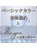 【白髪/全体】ベーシックカラー＋コラーゲン
