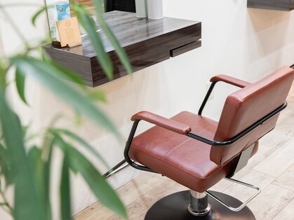 アングラフ(ain graph)の写真