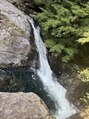 ラ キング(LA KING)&nbsp;自然界隈だいすきです！
