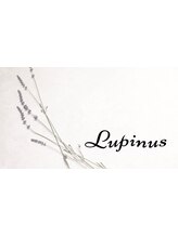 Lupinus