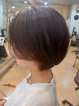 シャンプーボーイ ショート