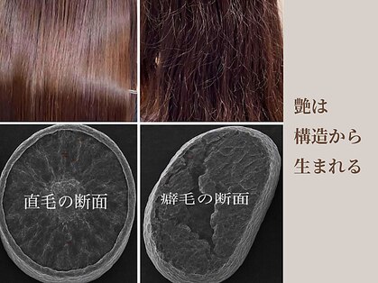 ジェコ ブラン(gecko. brun)の写真