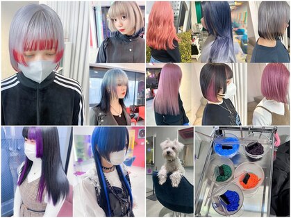 ボックスミコ(Box mico.)の写真