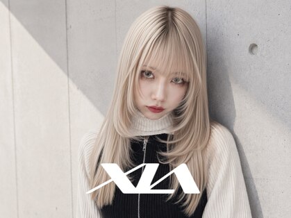 シア(XIA)の写真