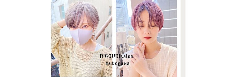 ビグディーサロン 武庫川(BIGOUDI salon)のサロンヘッダー