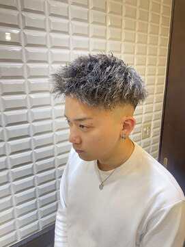 ルピナス(Lupinus) ハードツイスト