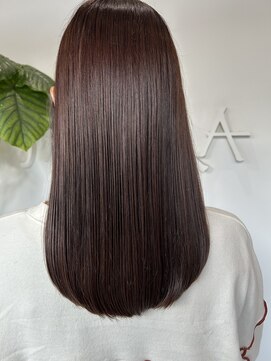 チョコピンクラベンダー【千葉・千葉駅・千葉駅北口】