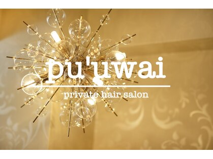 プウワイ(pu'uwai)の写真