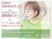 スパイス SPYSの雰囲気（ショート/ショートボブ/ダブルカラー/白髪ぼかし/札幌/大通り）
