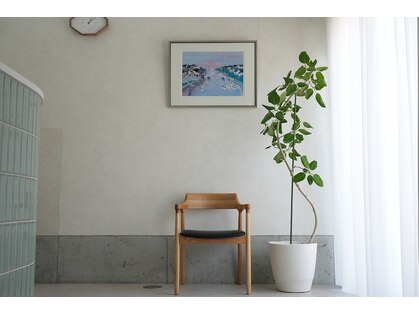 トイロ(toiro.)の写真