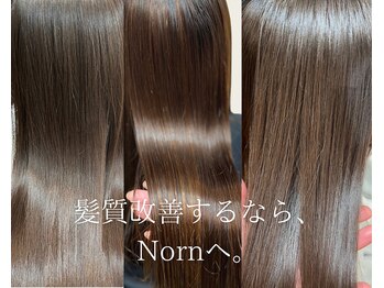 Norn 【ノルン】