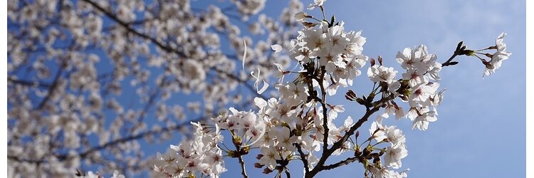 にもうのサロンヘッダー