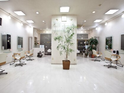 ダンプヘアー(Dump hair)の写真