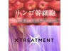 カット＋カラー＋リンゴ幹細胞培養液＋Xトリートメント＋超音波ケアプロ