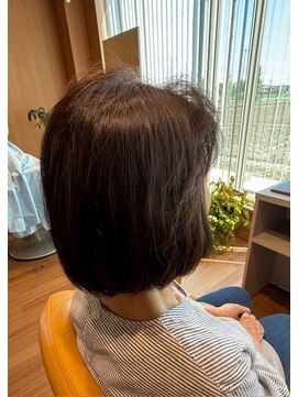 ビクウカンハナ（美空間 華） クラッシックボブ