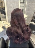 【木下限定】wine red