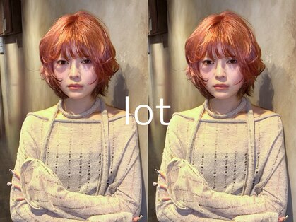 ロット(lot)の写真