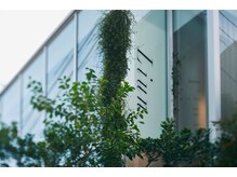 リアン アオヤマ(Liun Aoyama)の雰囲気（木々に囲まれた隠れ家サロン〔ショートヘア,ショートボブ〕）