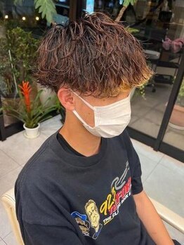 ヘアーアンドエステ ハラダ 滝ノ水店(Hair&Esthe Harada)の写真/学生から大人まで幅広い世代に支持・ライフスタイルに合わせた、扱いやすいデザインをご提案します。