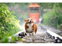 八重洲地下街を通って近くまで来れるので雨、風の日でも楽々！