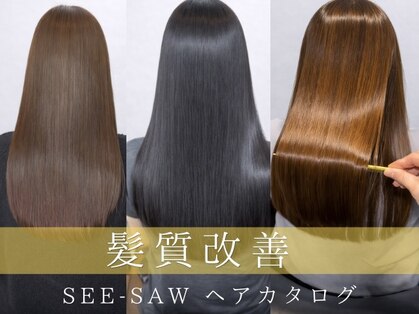 シーソー(SEE-SAW)の写真