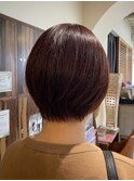 ショートカット/ココアブラウン